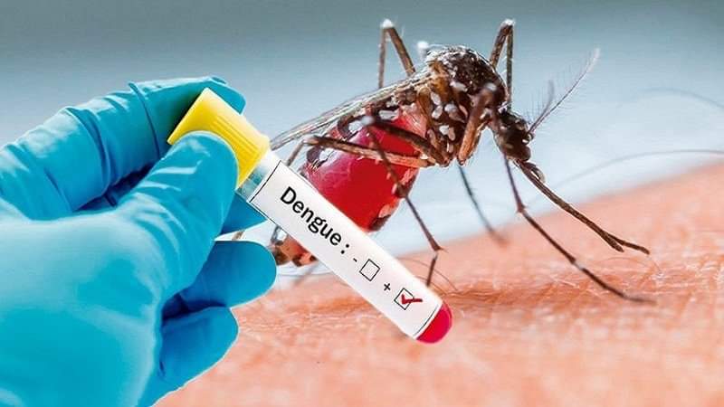 Sốt xuất huyết Dengue: Những dấu hiệu cần chú ý